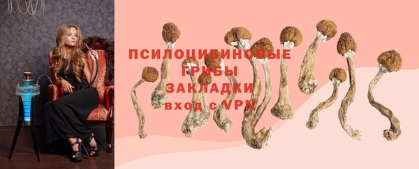 кокаин Белокуриха