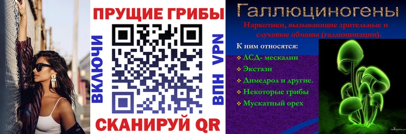 Псилоцибиновые грибы мицелий  продажа наркотиков  Волчанск 